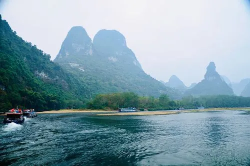 绿色独特网络化