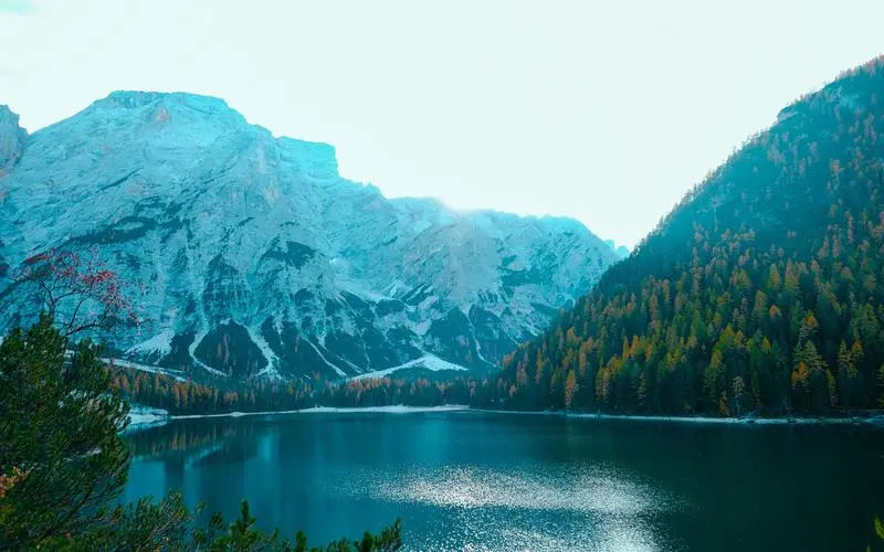 高端可靠性